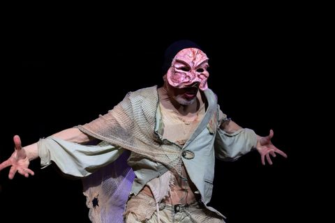 Le Nozze di Arlecchino — foto 3