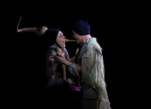 Le Nozze di Arlecchino — foto 5