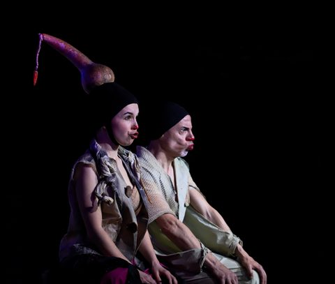 Le Nozze di Arlecchino — foto 11