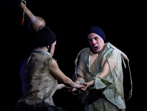 Le Nozze di Arlecchino — foto 13