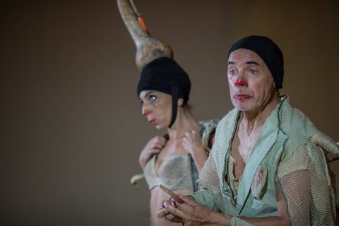 Le Nozze di Arlecchino — foto 18