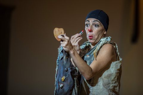 Le Nozze di Arlecchino — foto 23
